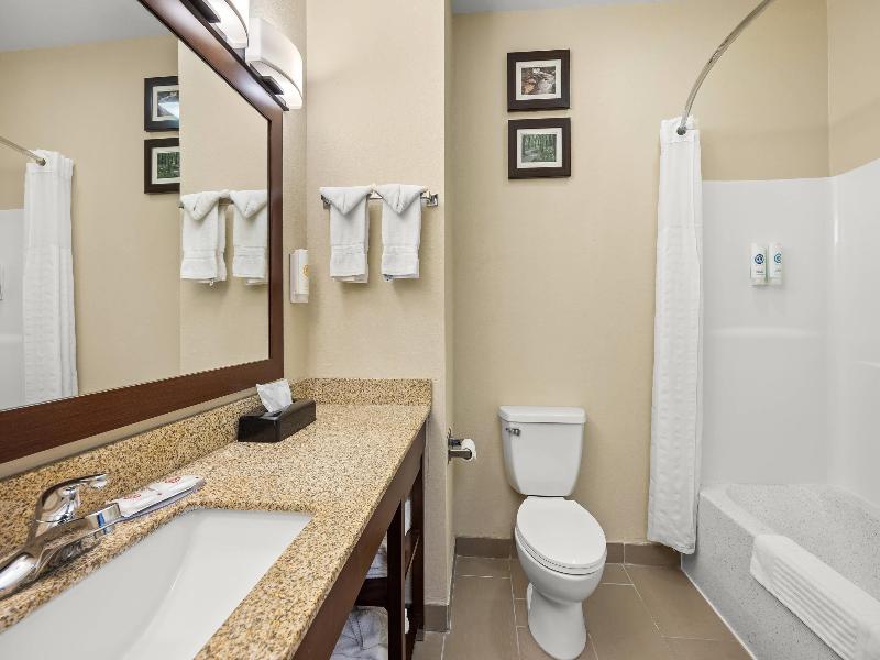 Comfort Inn Willow Springs image