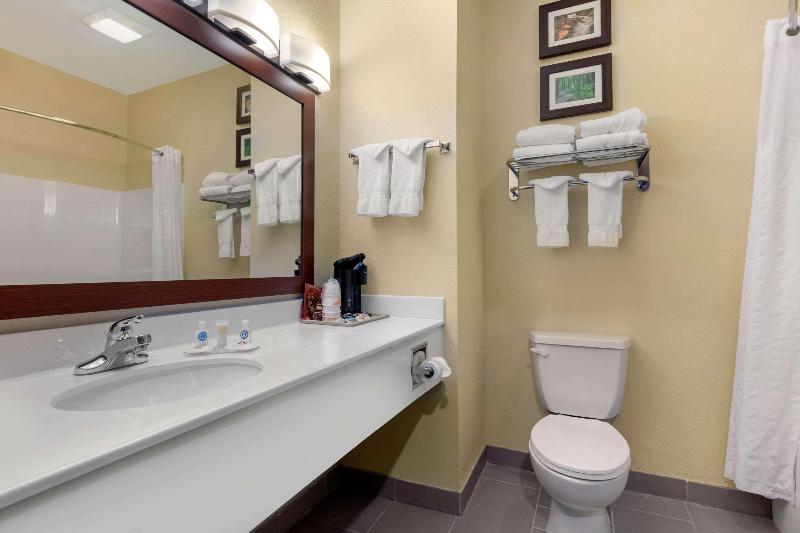 Comfort Inn Willow Springs image