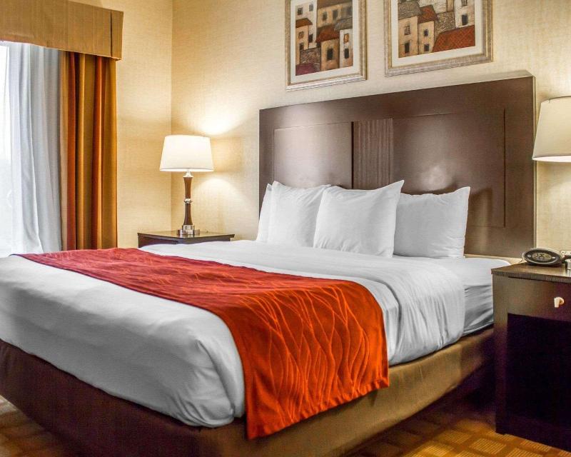 Comfort Suites Edinboro image