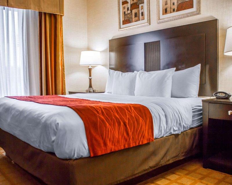 Comfort Suites Edinboro image