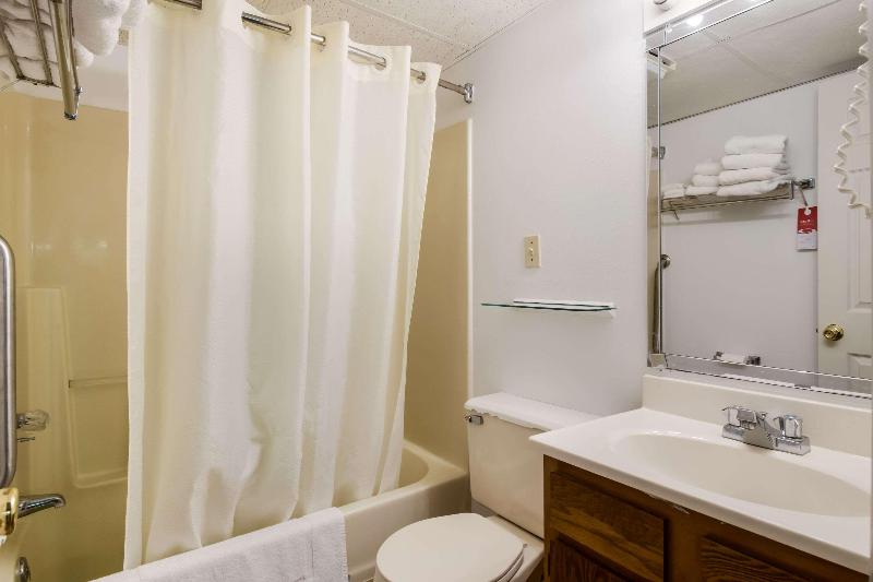 Econo Lodge Inn & Suites image