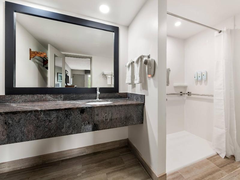Quality Inn Dandridge — photo 81