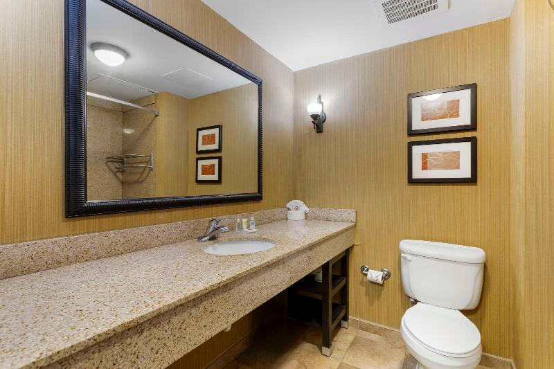 Comfort Suites Kodak Sevierville image