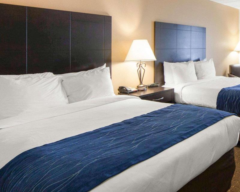 Comfort Inn Oak Ridge - Knoxville image