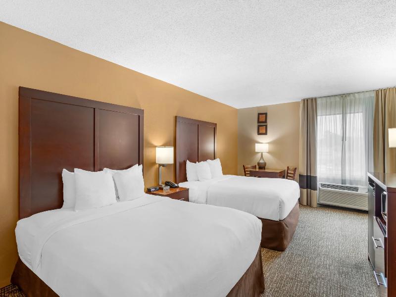 Comfort Inn Conroe image