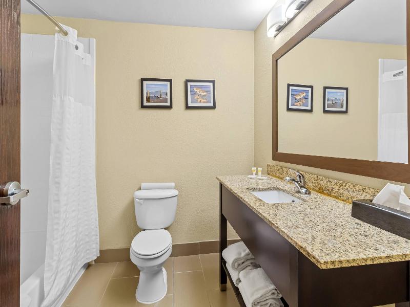 Comfort Suites Lake Jackson Clute image