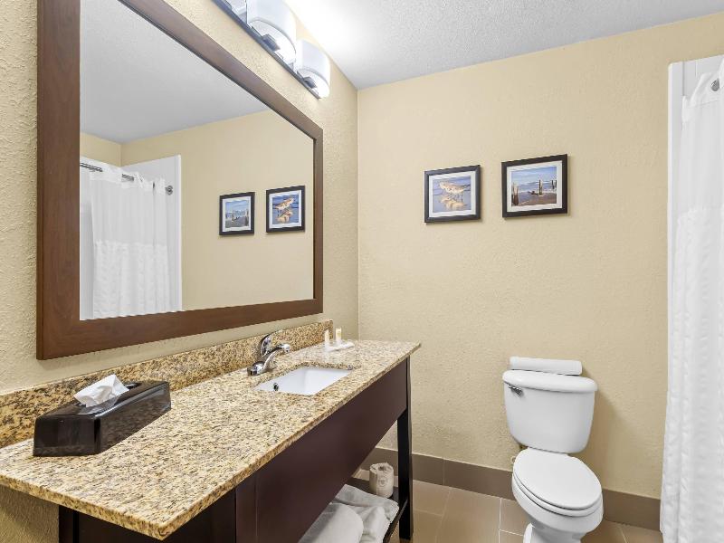 Comfort Suites Lake Jackson Clute image
