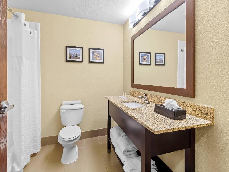 Comfort Suites Lake Jackson Clute image