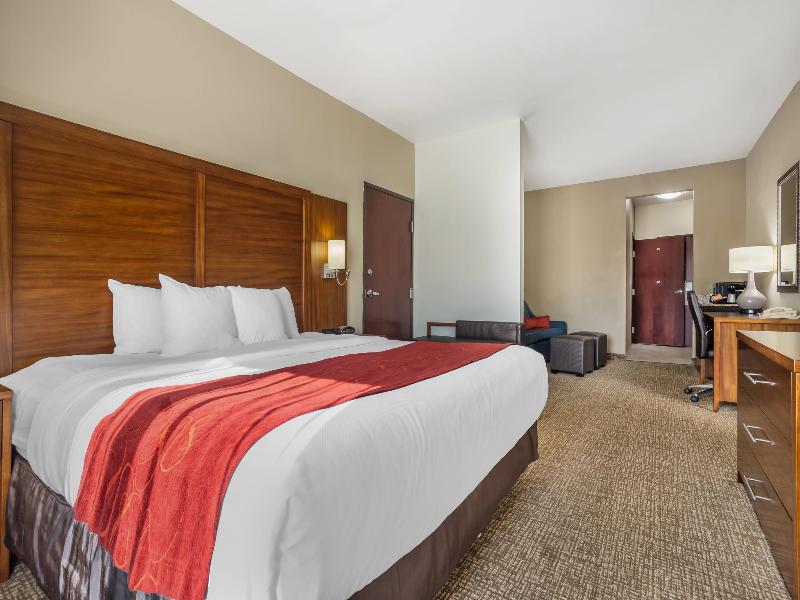 Comfort Suites Old Town Spring image