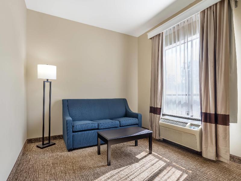 Comfort Suites Old Town Spring image