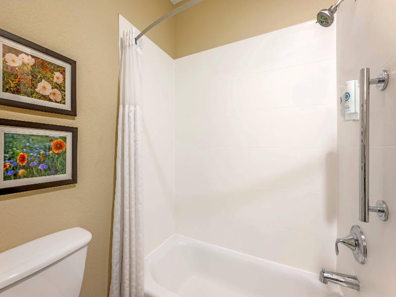 Comfort Inn I-20 Midland Stanton image