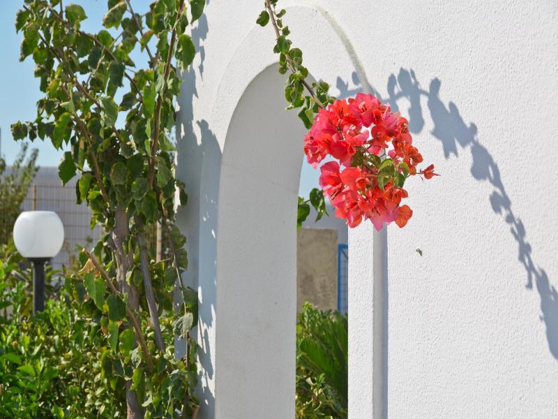 Dilino Studios image