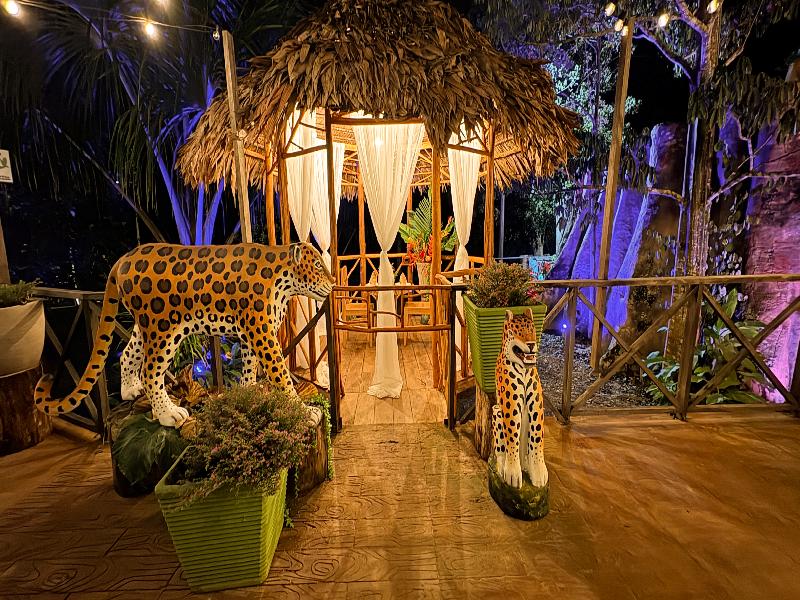 Hotel Amazon by On Vacation image