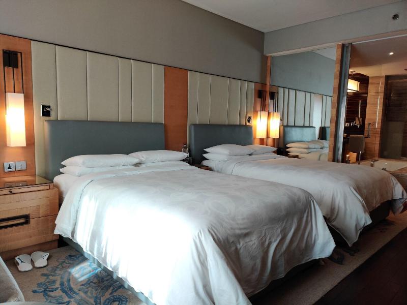 JW Marriott Hotel New Delhi Aerocity image