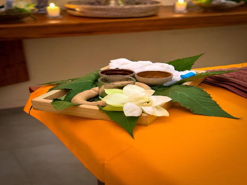 Spring of Life Ayurveda Resort image