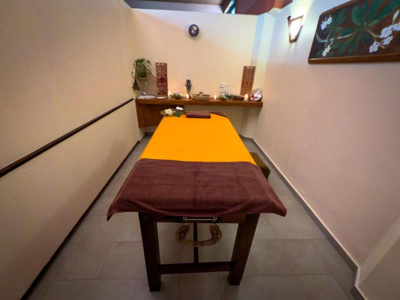 Spring of Life Ayurveda Resort image