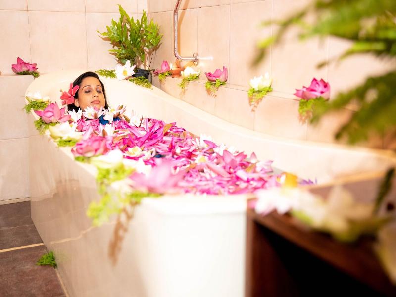 Spring of Life Ayurveda Resort image