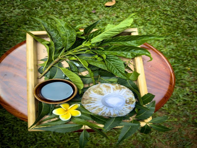 Spring of Life Ayurveda Resort image