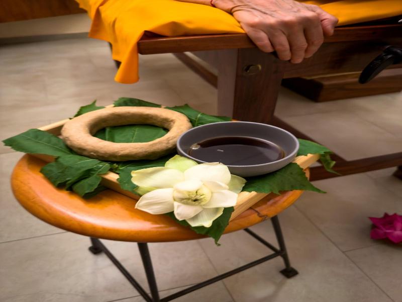 Spring of Life Ayurveda Resort image
