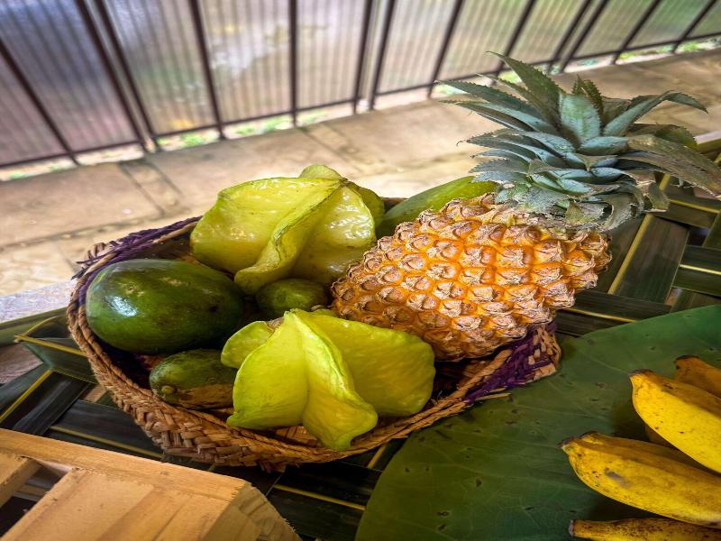 Spring of Life Ayurveda Resort image