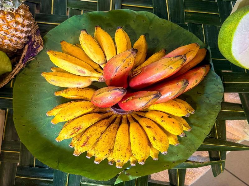 Spring of Life Ayurveda Resort image
