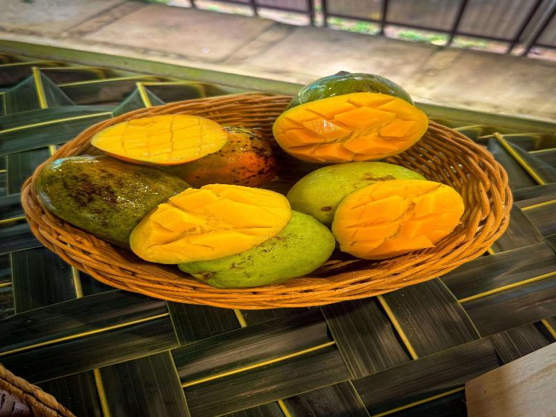 Spring of Life Ayurveda Resort image