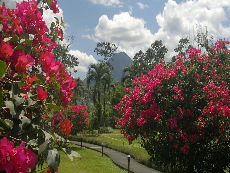 Hotel Eco Arenal image