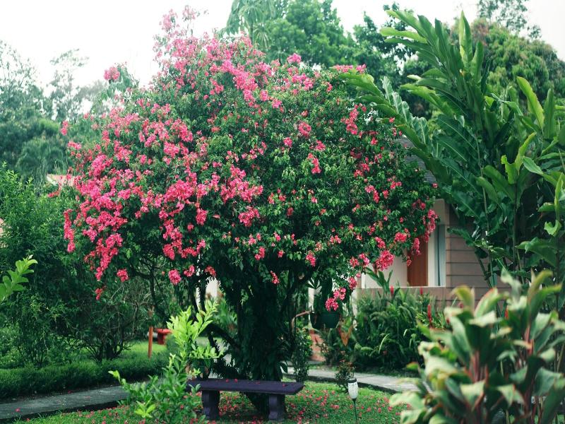 Hotel Eco Arenal image
