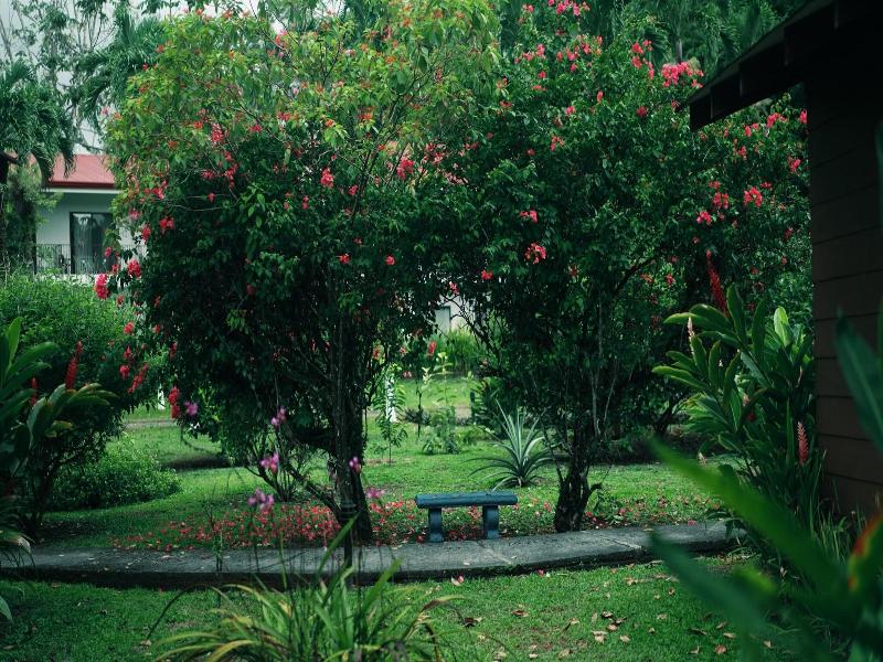 Hotel Eco Arenal image