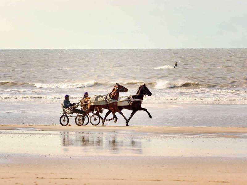 ibis budget Deauville image