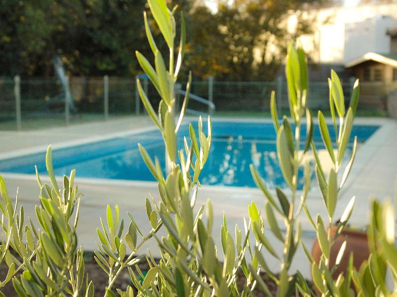 ibis Salon-de-Provence Sud image