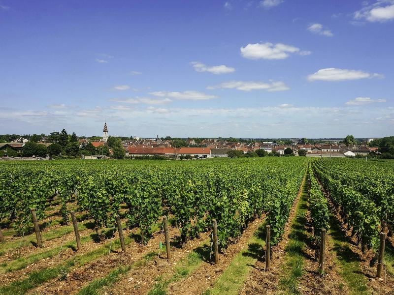 ibis budget Nuits Saint Georges image