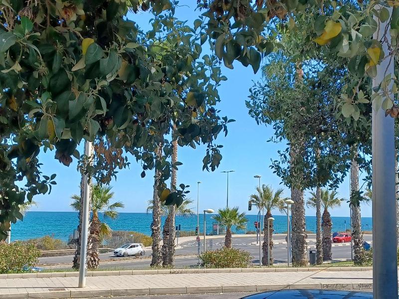 ibis Alicante image