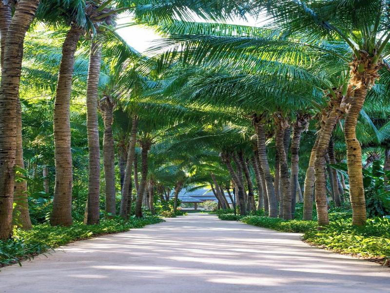 Sheraton Hua Hin Pranburi Villas image
