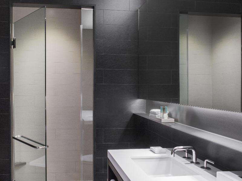 Hyatt Centric Times Square New York image