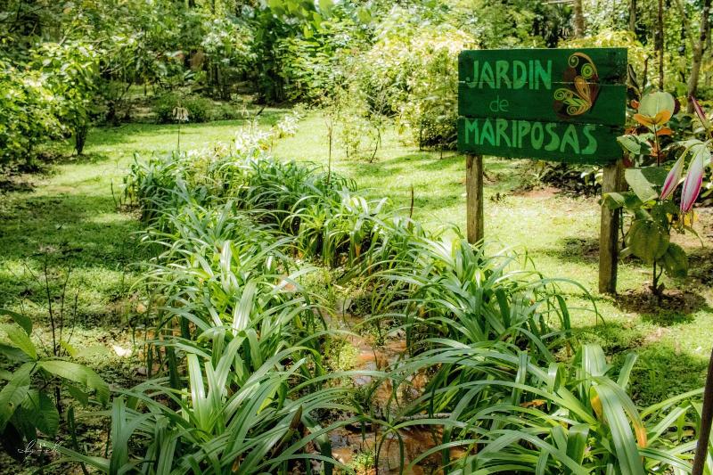 Macaw Lodge image