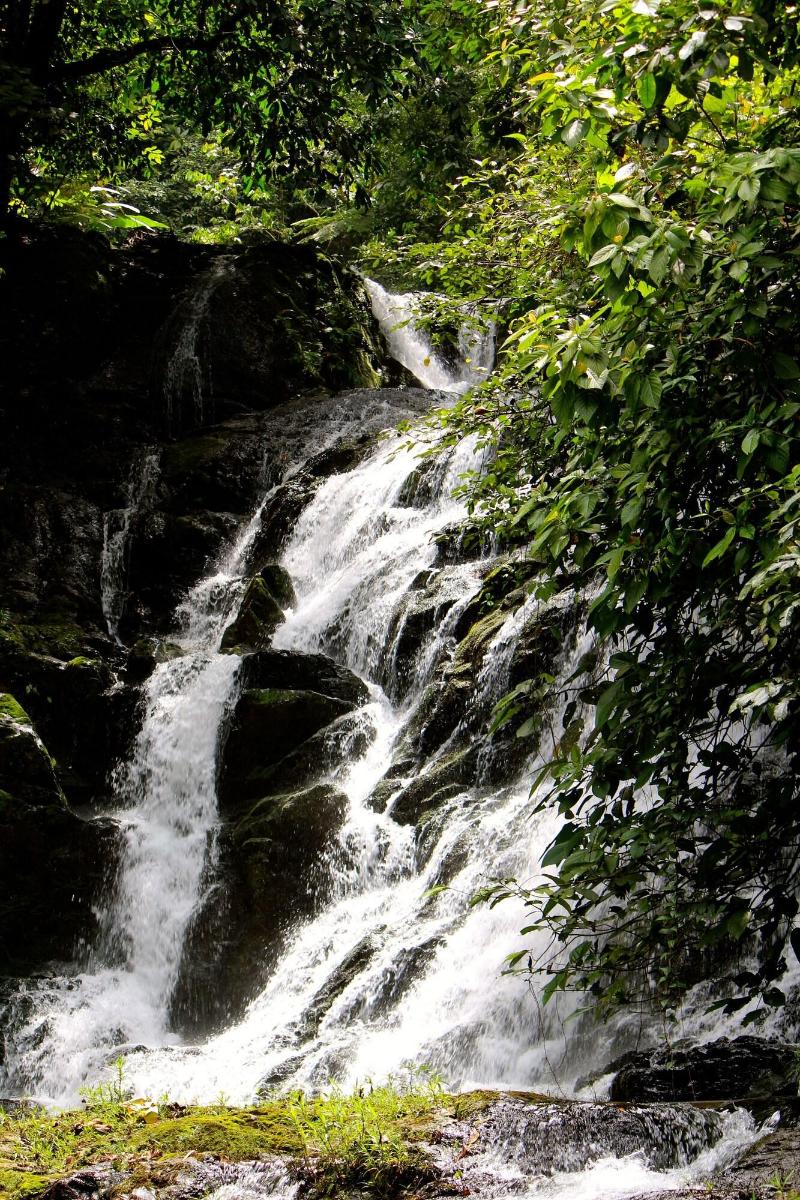 Macaw Lodge image