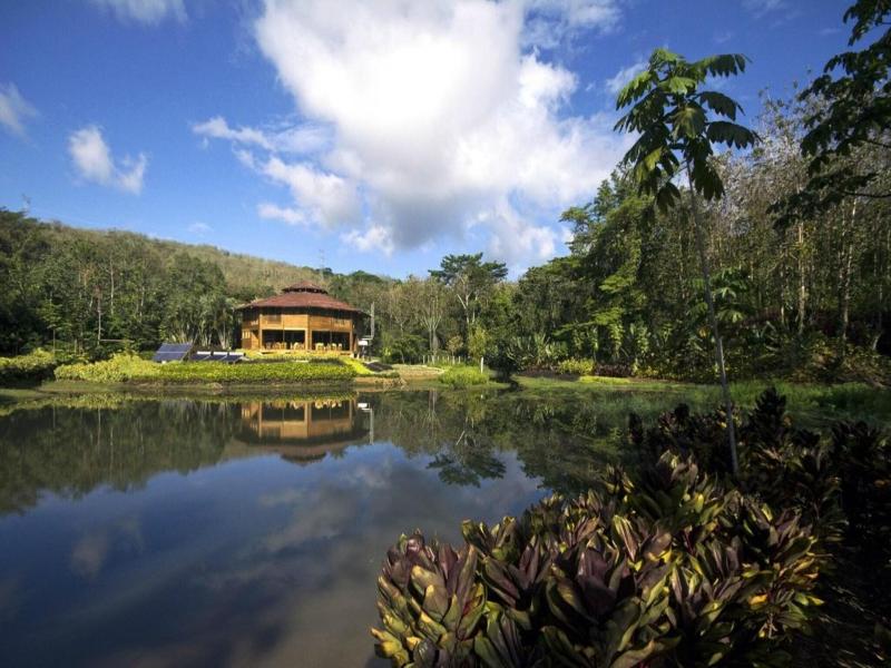 Macaw Lodge image