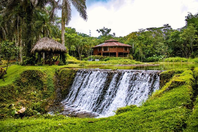 Macaw Lodge image