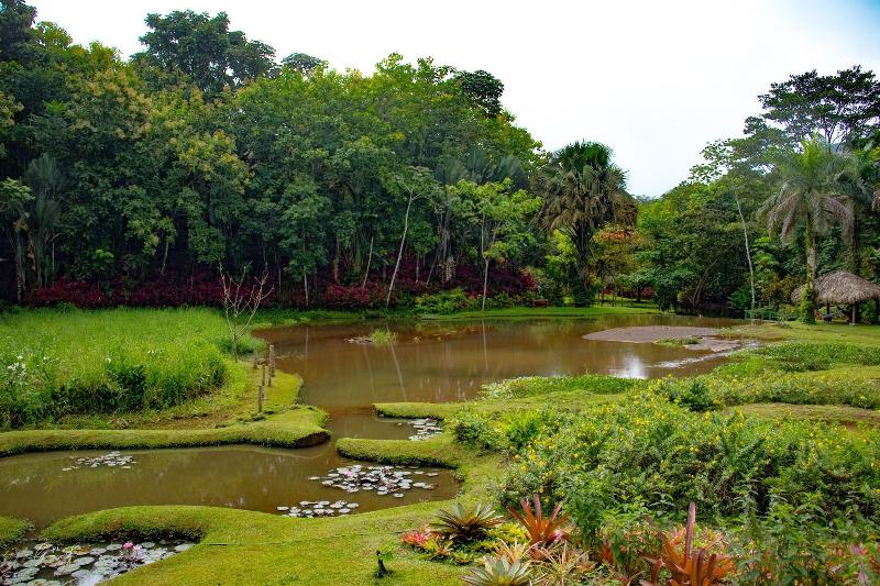 Macaw Lodge image