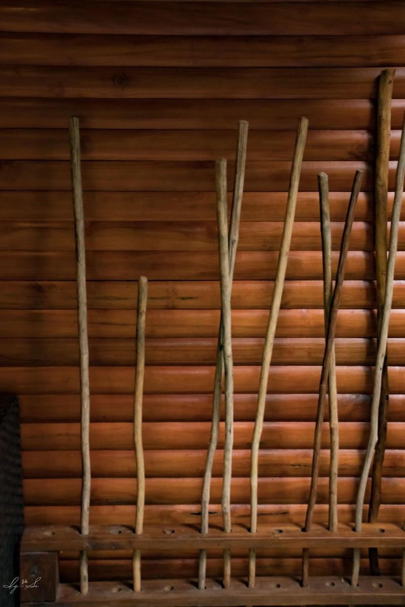 Macaw Lodge image