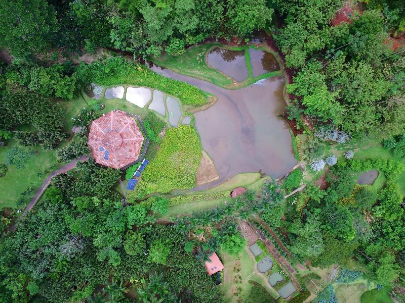Macaw Lodge image