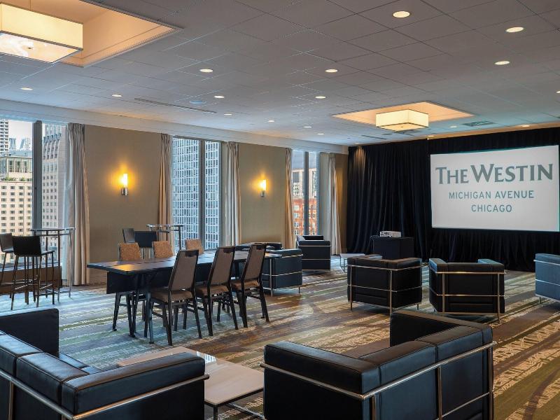 Westin Michigan Avenue image
