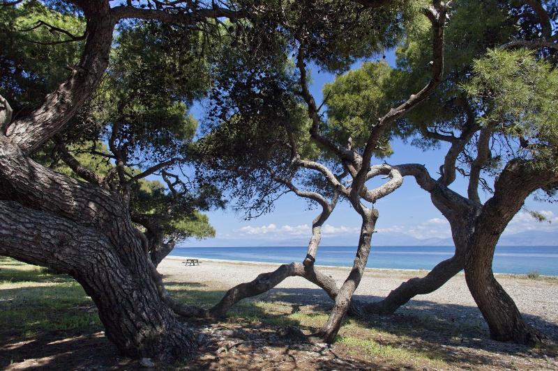 Daphne's Club Hotel Apartments - Image 2