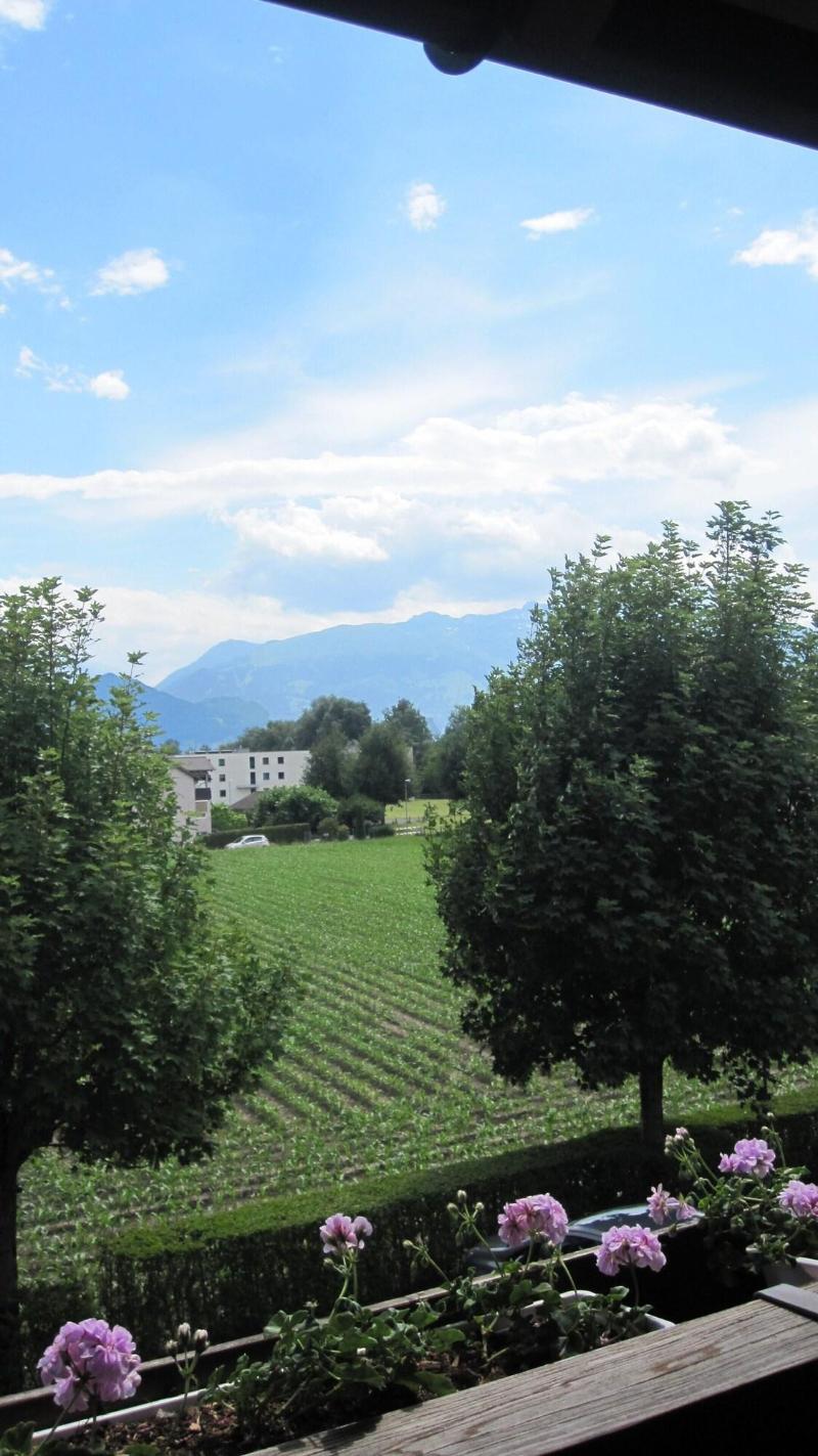 Schatzmann image