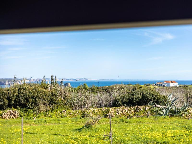 Pontalaia image