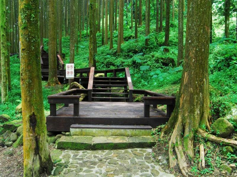 Alishan Shermuh International Tourist Hotel image
