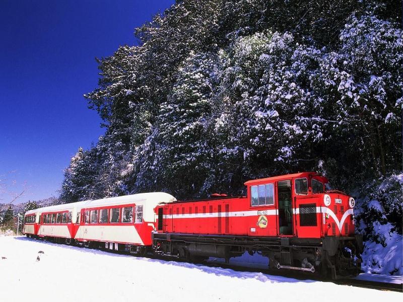 Alishan Shermuh International Tourist Hotel image