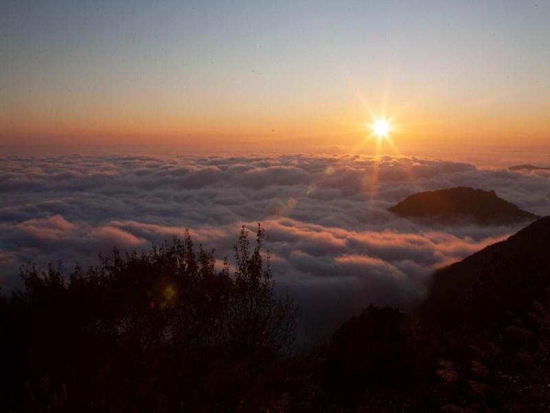 Alishan Shermuh International Tourist Hotel image