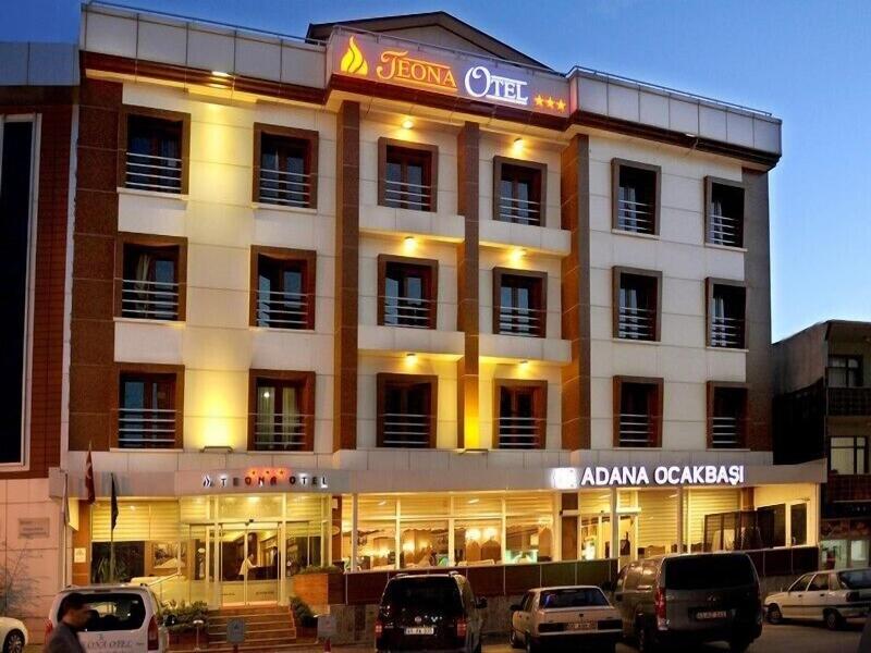 Teona Otel image